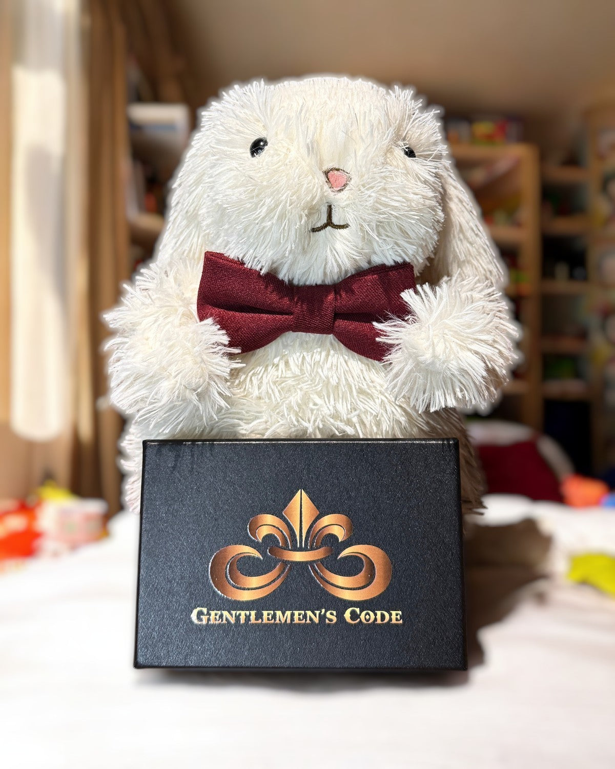 Nœud Papillon Petit Gentleman Coton Bourgogne