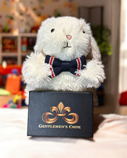 Nœud Papillon Petit Gentleman Tricot Le Tricolore